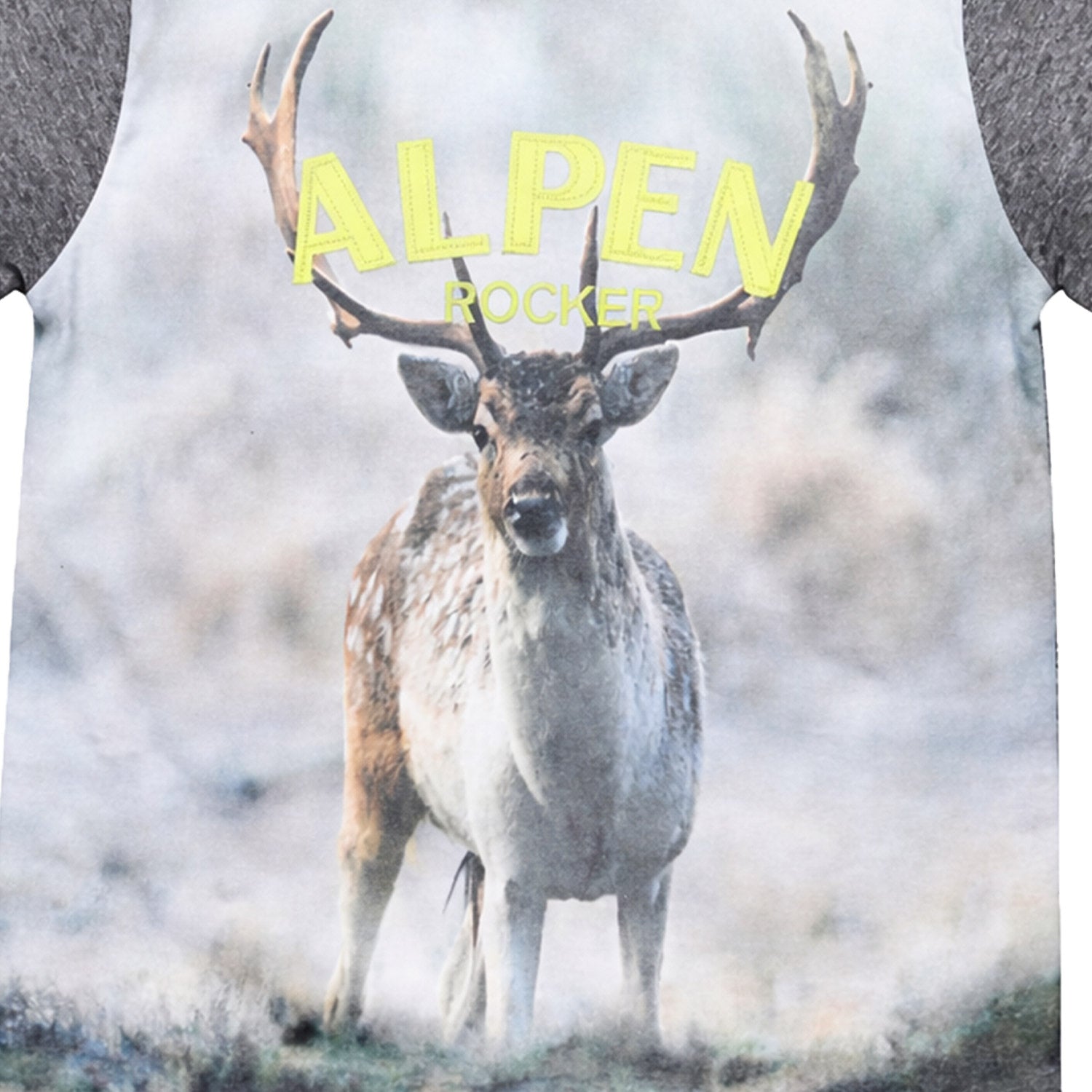 trachtenland-bondi-jungen-t-shirt-hirsch-29904-anthra-melange image 6