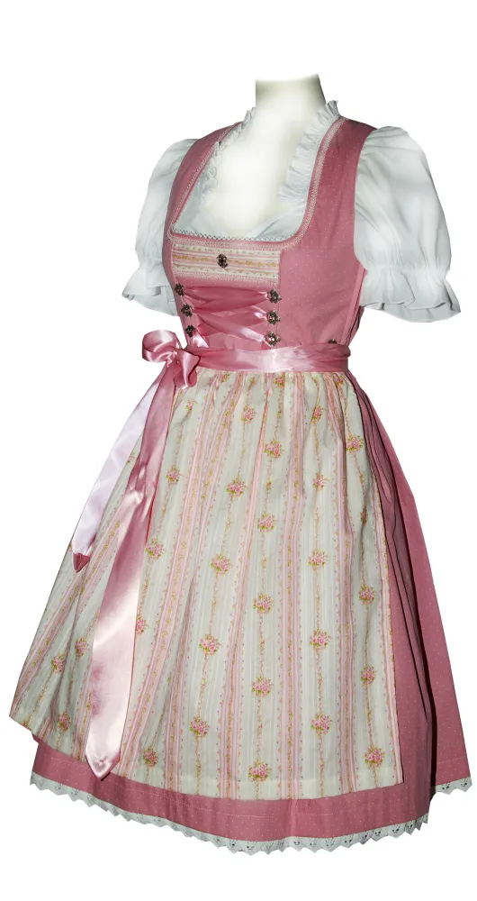 trachten-benkert-bakana-dirndl-puder image 1