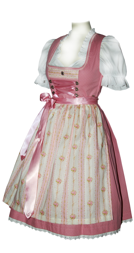 trachten-benkert-bakana-dirndl-puder image 1