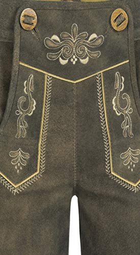 n-bler-lederhose-kurz-gerda-glitzer-steingrau-ziegenleder image 8