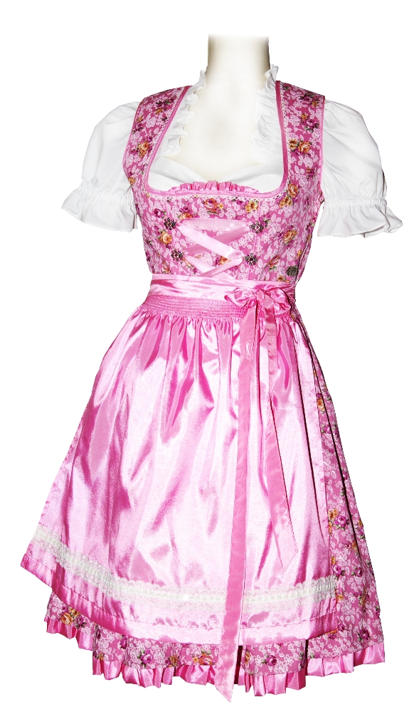 trachten-benkert-agnes-dirndl-ros-gebl-mt image 1