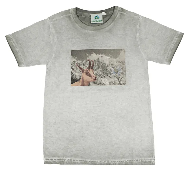 trachtenland-isar-trachten-kinder-t-shirt-mit-edelwei-grau image 1