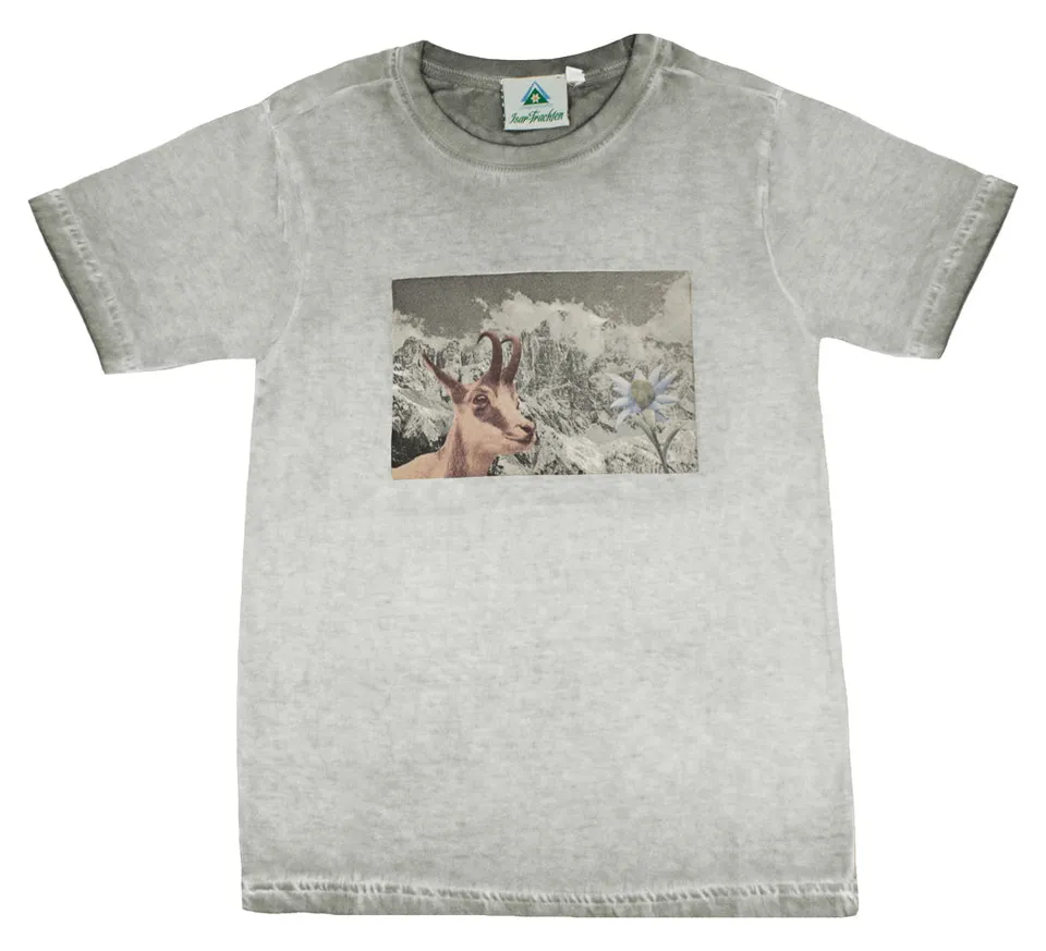 trachtenland-isar-trachten-kinder-t-shirt-mit-edelwei-grau image 1