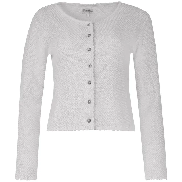 trachtenland-marjo-trachten-jacke-vilseck-ii-pastellgrau image 1