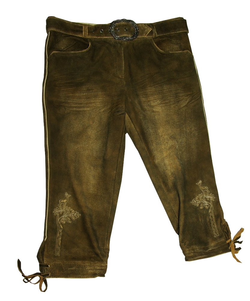 trachten-benkert-melina-dirndl-forrest-mit-g-rtel image 1
